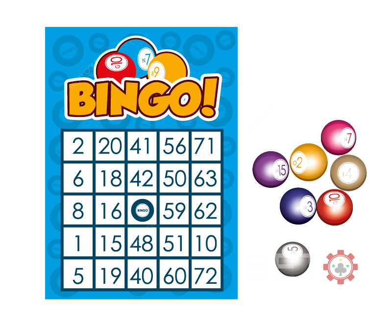 Guía del jugador de BETO.com para el bingo