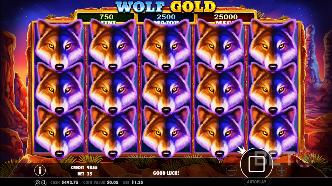 El símbolo Scatter de Wolf Gold desencadena la ronda de giros gratis