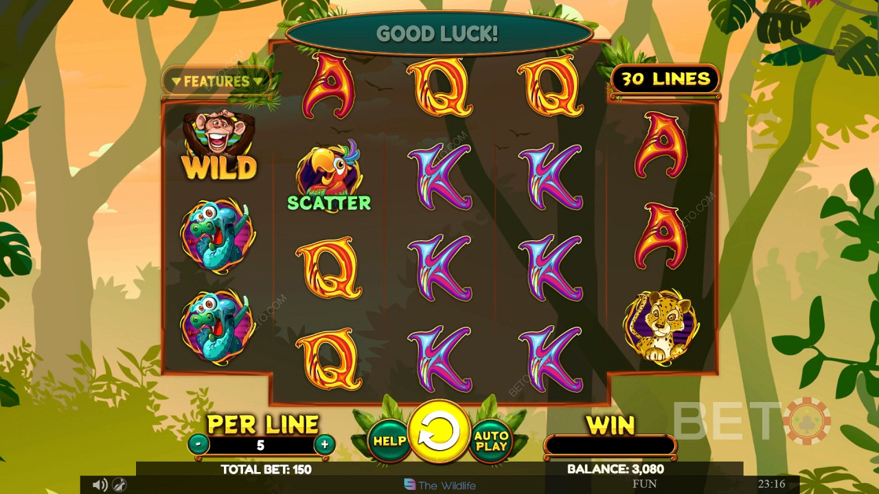 Wacky Monkey Juego Gratis