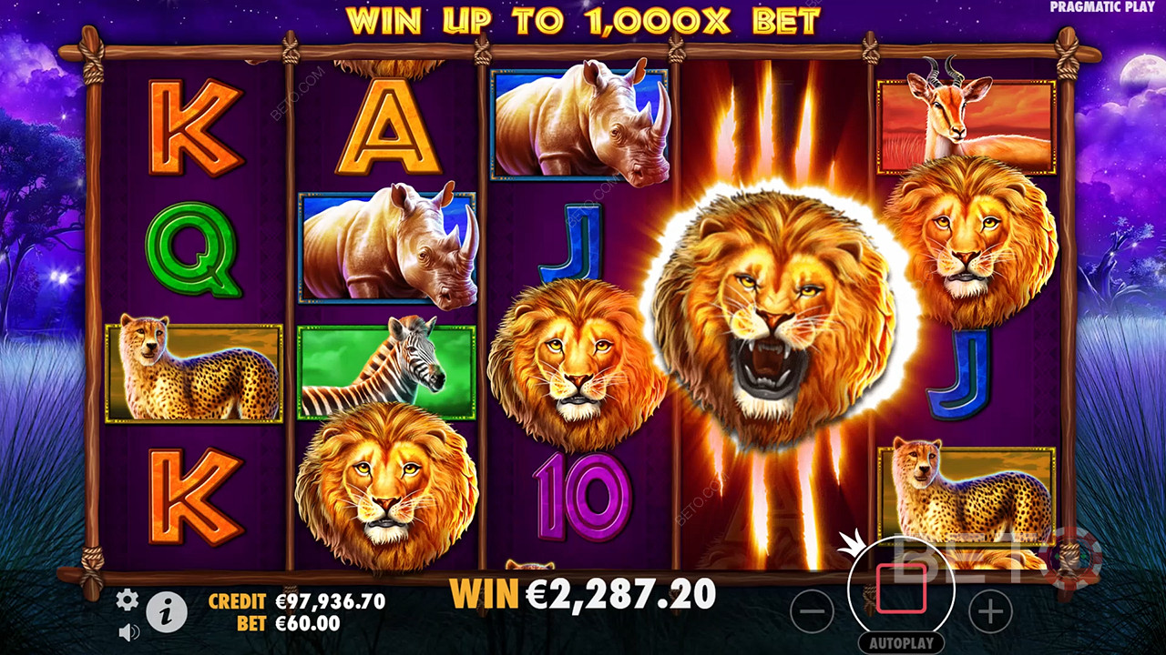 Safari King (Pragmatic Play)  Juego Gratis