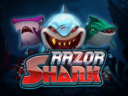 Tragamonedas online Razor Shark