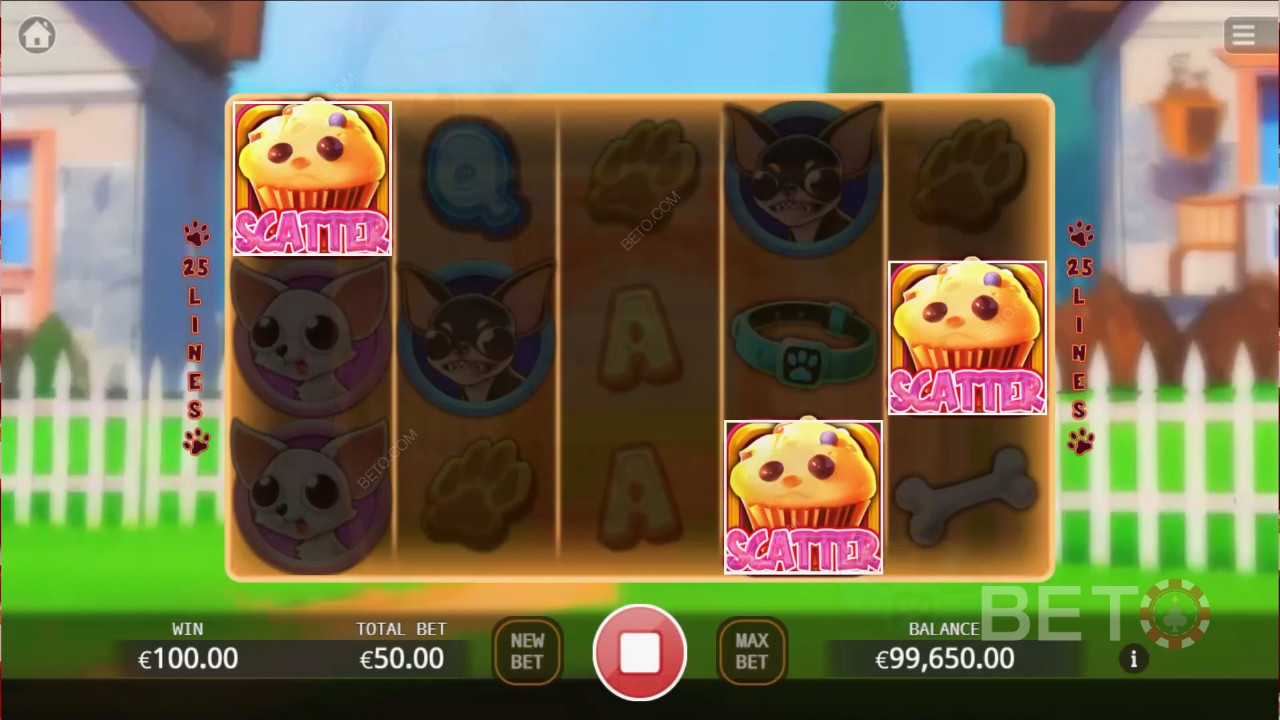 Chihuahua Party Juego Gratis