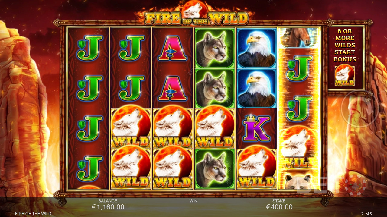Fire of the Wild Juego Gratis