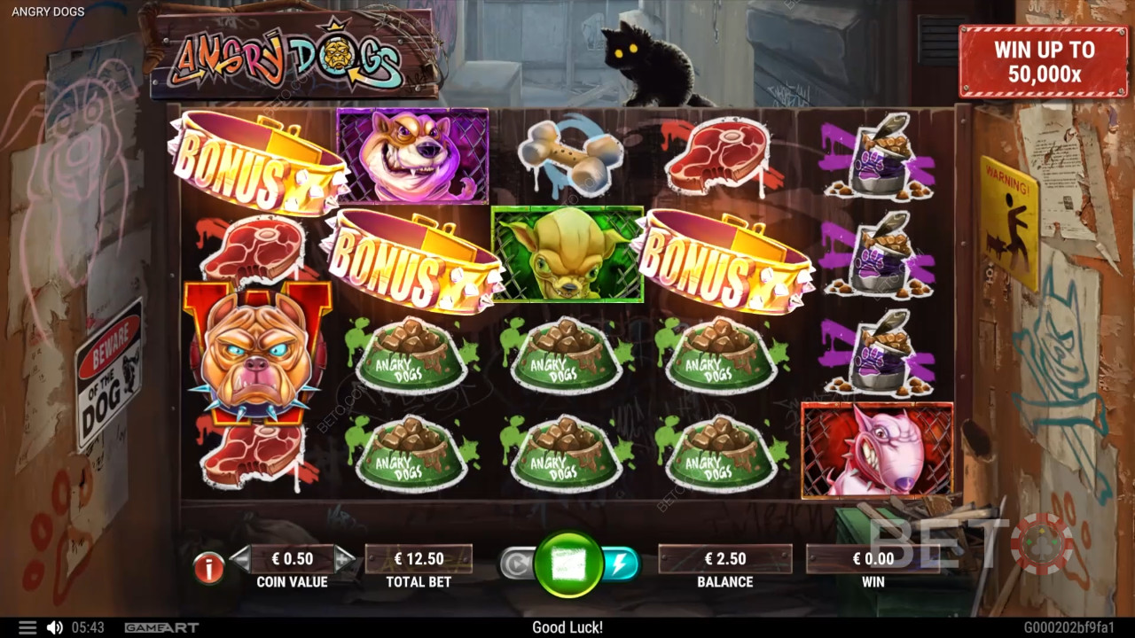Angry Dogs Juego Gratis