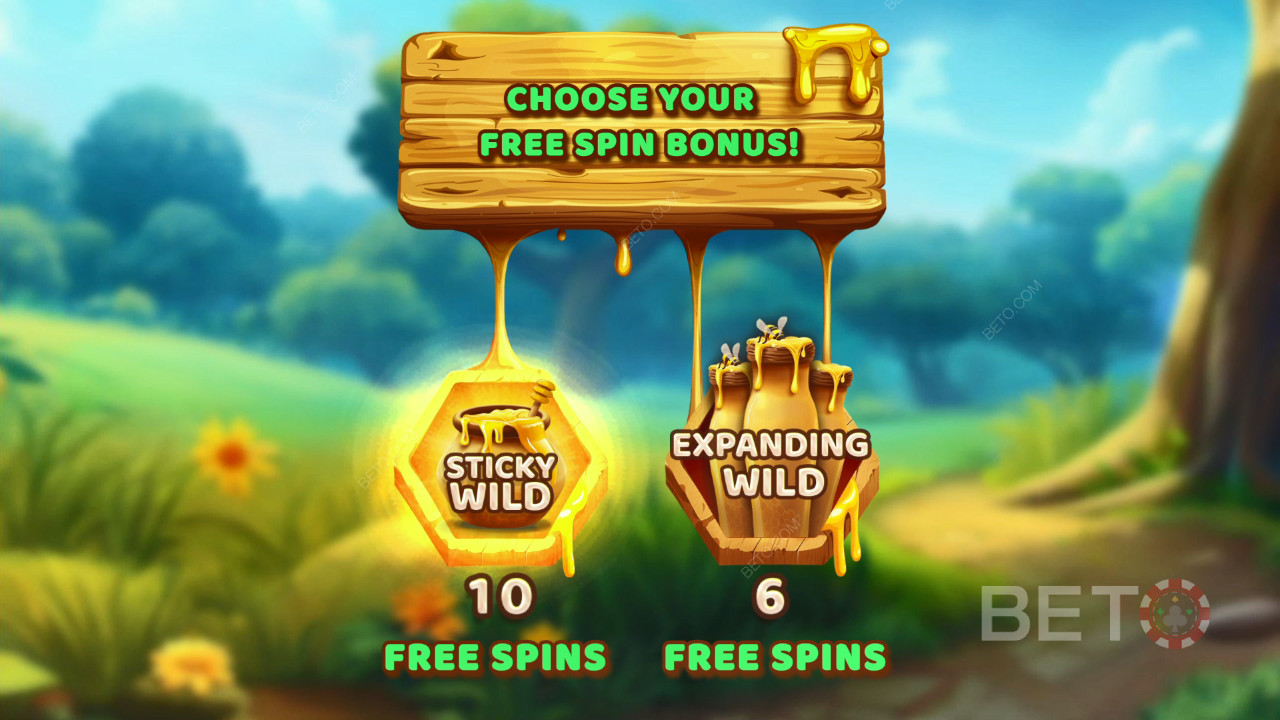 Tema y diseño: Bee Adventure Quest