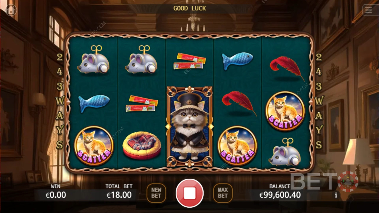 Reseña de Noble Cat por BETO Slots