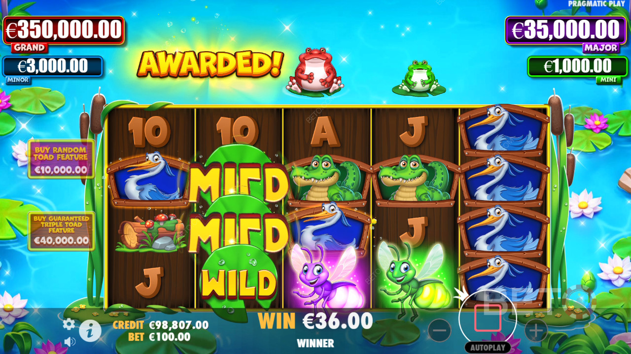 Tiny Toads Juego Gratis