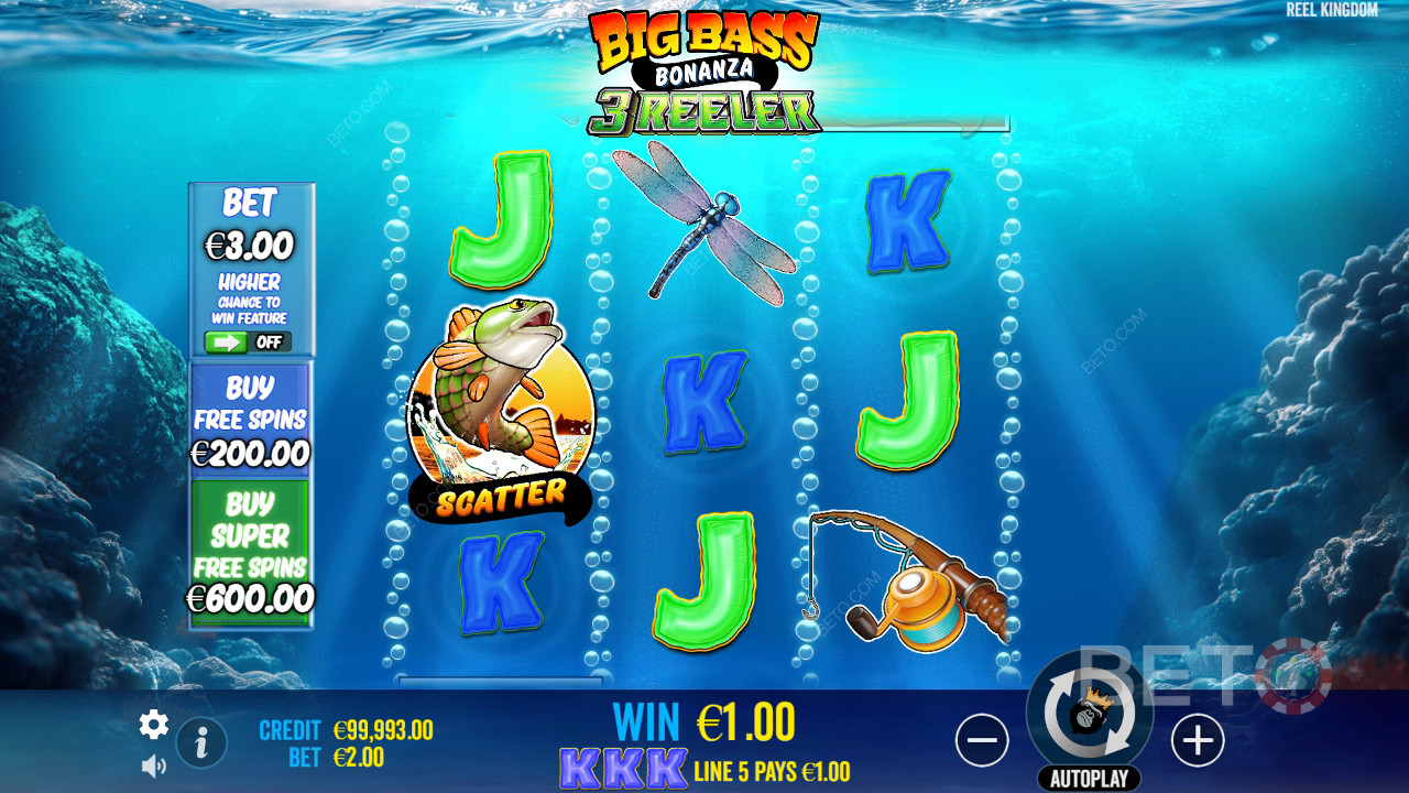 Tema y diseño: Inmersión en la aventura de la pesca