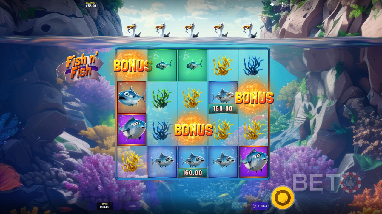 Reseña de Fish n