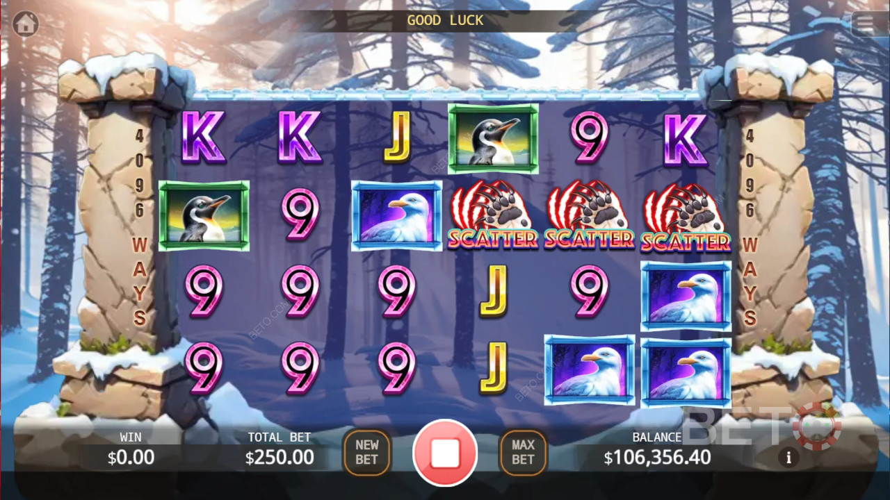 Bear Paw Legend Plus Juego Gratis