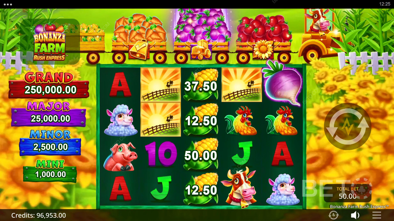 Bonanza Farm Rush Express Reseña de BETO Slots