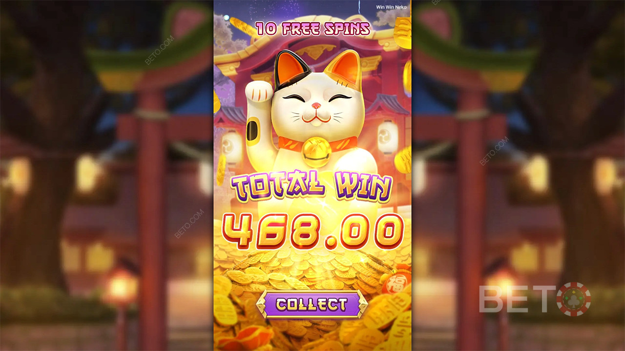 Win Win Neko - Sí o no