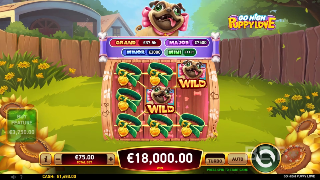 Go High Puppy Love Reseña de BETO Slots