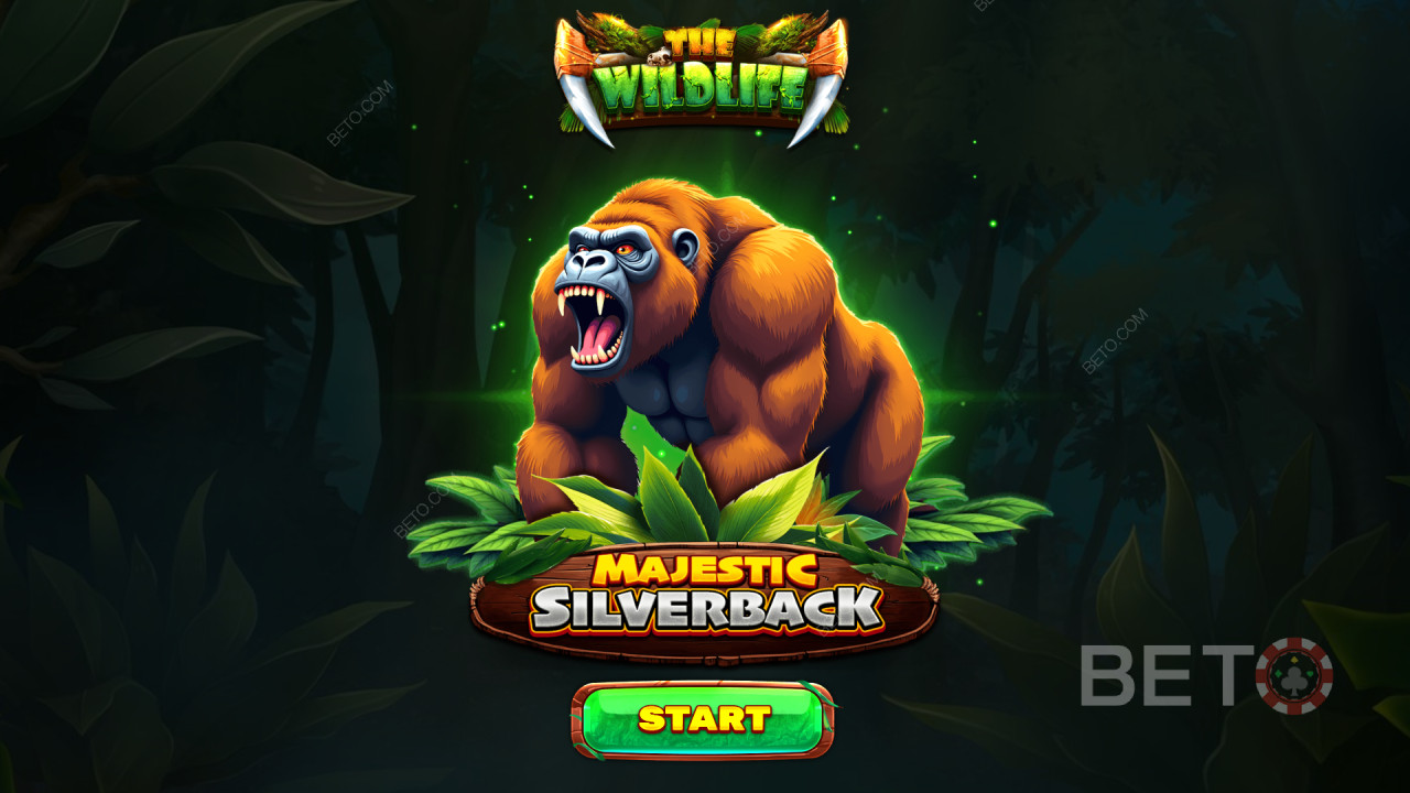 Características adicionales explicadas en Majestic Silverback por Spinomenal