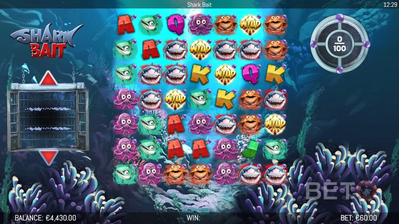 Explicación de las bonificaciones en Shark Bait de Hungry Bear