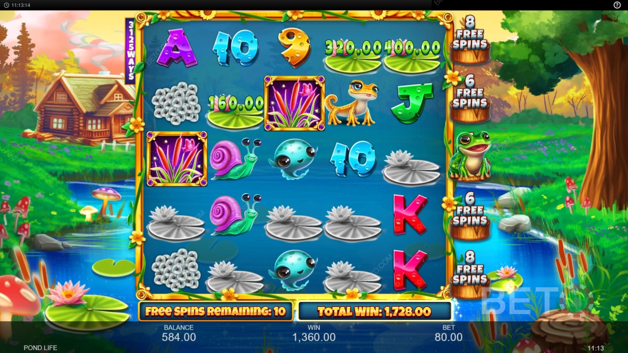 Características adicionales explicadas en Pond Life por Inspired Gaming