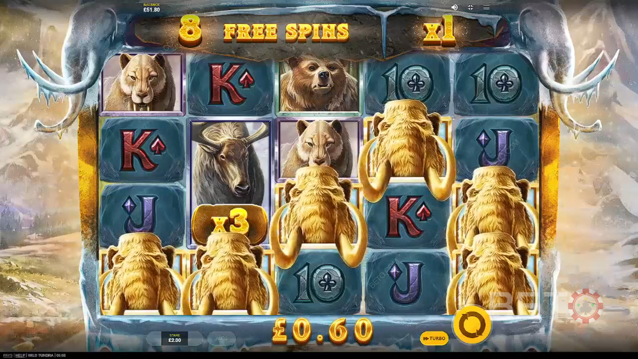 Reseña de Wild Tundra en BETO Slots