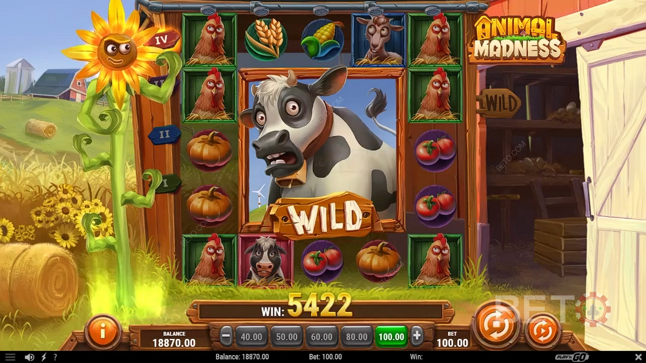 Animal Madness Juego Gratis