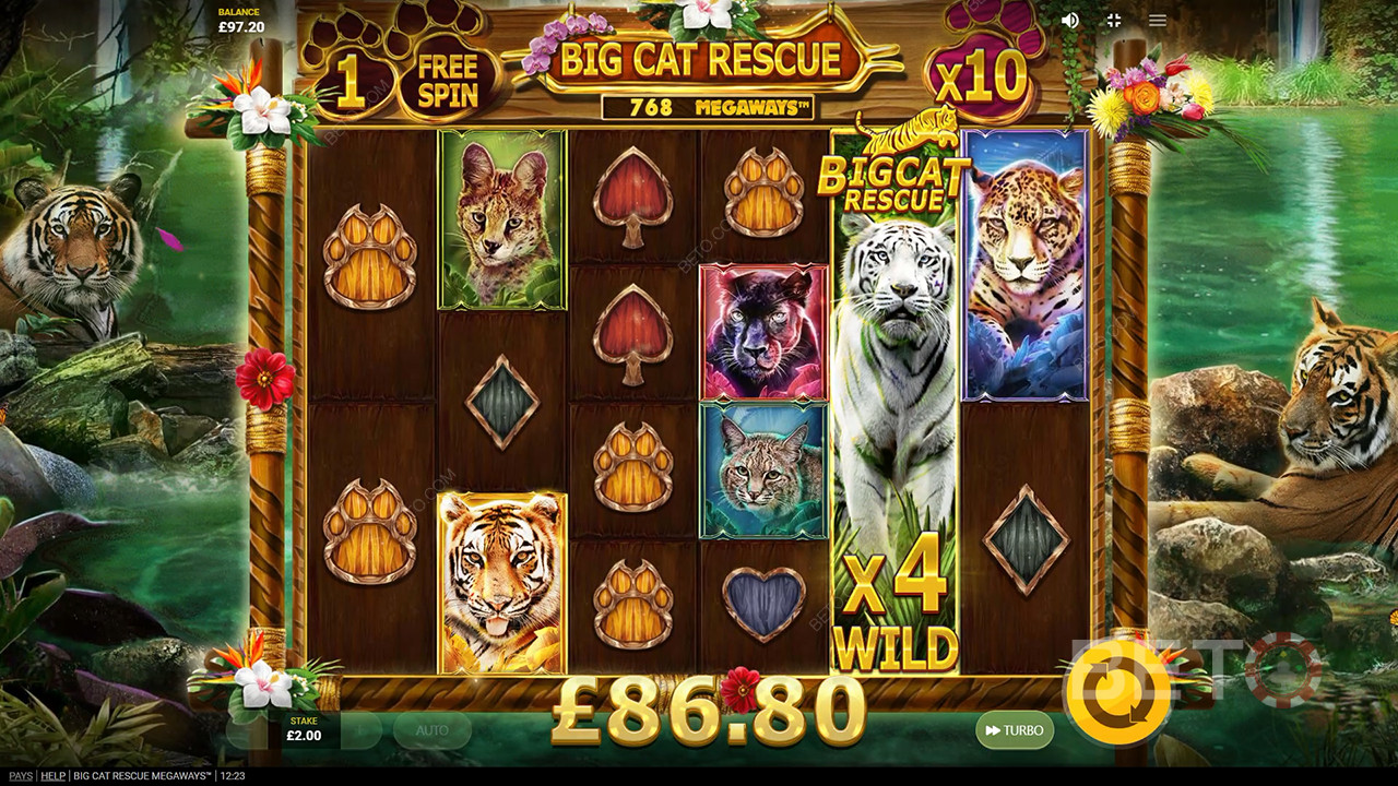 Reseña de Big Cat Rescue Megaways de BETO Slots