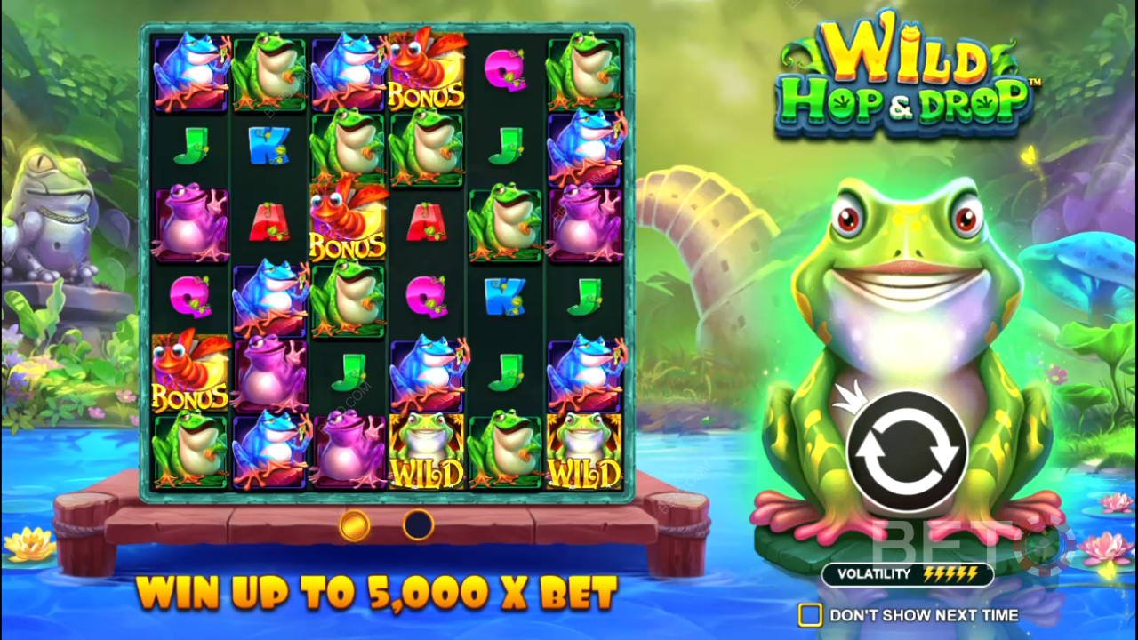 Tragaperras online Wild Hop and Drop - Nuestro veredicto