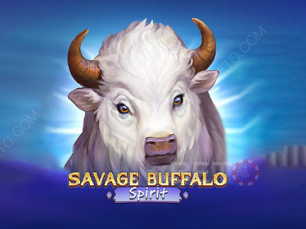 Savage Buffalo Spirit Demo