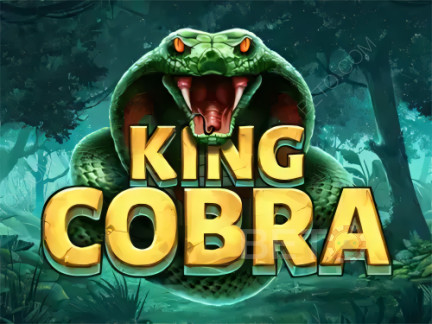 King Cobra Demo