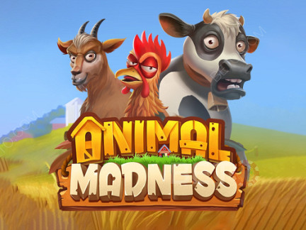 Animal Madness Demo